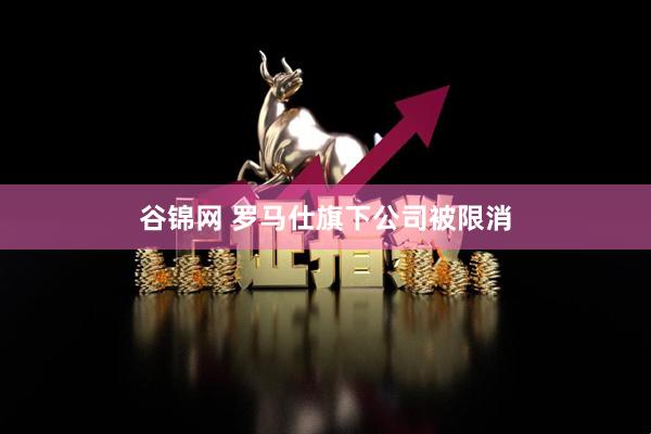 谷锦网 罗马仕旗下公司被限消