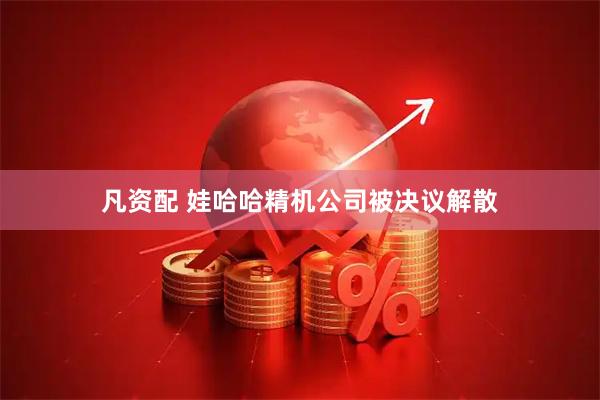 凡资配 娃哈哈精机公司被决议解散